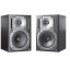 Behringer B2030A Truth