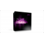 Avid Pro Tools HD9