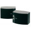 Bose 301