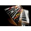 Moog Voyager XL