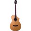 Line 6 Variax Acoustic 300 Nylon