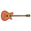 Washburn WI 66 PRO