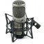 Red5 Audio RV6