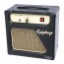 Epiphone Blues Junior Combo