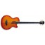 Washburn AB-40 VS Vintage Sunburst