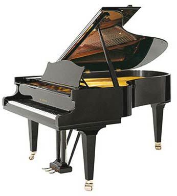 Bechstein BECHSTEIN B - 212 3/4 cola negro poliester