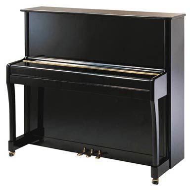 Otto Bach OTTO BACH UP-110 E negro poliester