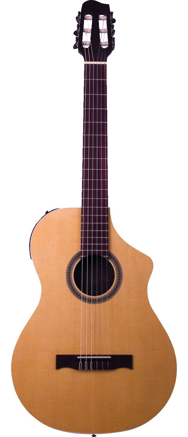 Line 6 Variax Acoustic 300 Nylon