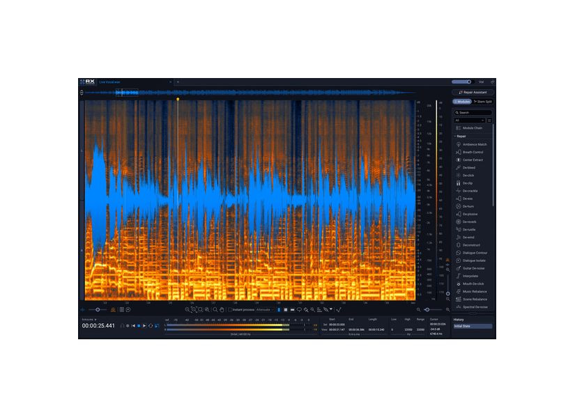 iZotope RX 12 Standard