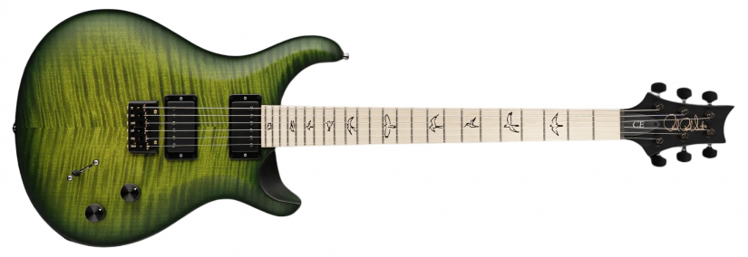 PRS DW CE 24 Hardtail Limited Edition