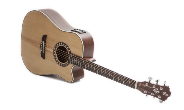 Harley Benton Custom Line CLD-1048SCE NS