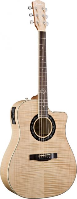 Fender T-Bucket 400CE All Exotic