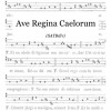 Ave Regina Caelorum
