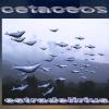 Cetaceos