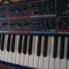 monocontest tomiwilli moog mg1