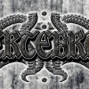 Vertebrae
