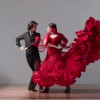 SUEÑO FLAMENCO