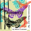 Butterfly A1