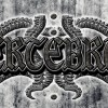 VERTEBRAE.SYMMETRY
