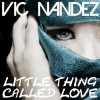 Vic Nandez - Little Thing Called Love