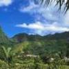 The Island Getaway