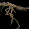 Dinosaurio