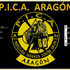 P.I.C.A.