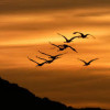 Dawn