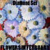 Flowers in February - Diamond