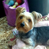 Bruno