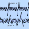 Double chord development