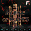 THE HOUSE OF WAVES
