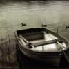 Softlake