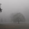 Viaje de Invierno (Winterreise)
