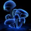BLUE GRASS - SKELA BEATZ