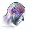 JAVI_LMBN_-_You_Are_In_My_Brain(Tony Fuentes Remix)