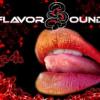 Gyoza (FlavorSound 2008)