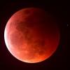Nocturne Of Blood