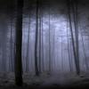 The path