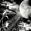 Luz de luna