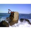 Peinando el viento