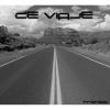 de viaje