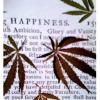 ····  VALS CANNABIS  ····