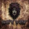 05 SEYVER-broken