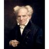 Facing Schopenhauer