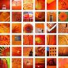 Orange Colour
