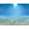 Underwater