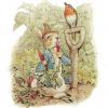El conejo y el colibrí