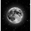 Hijo de la luna (Arreglo orquestal)