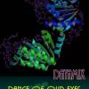 Dance of our eyes,